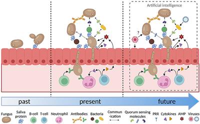 Oral Fungal Infections: Past, Present, and Future